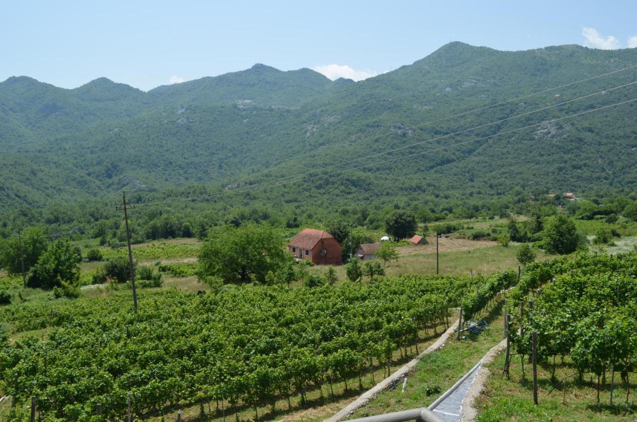 Markovic Winery And Estate Apartments Cetinje Eksteriør billede